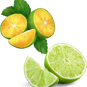 Multiusos Aroma Lima-Limón tipo Maestro Limpio 20 Lts.